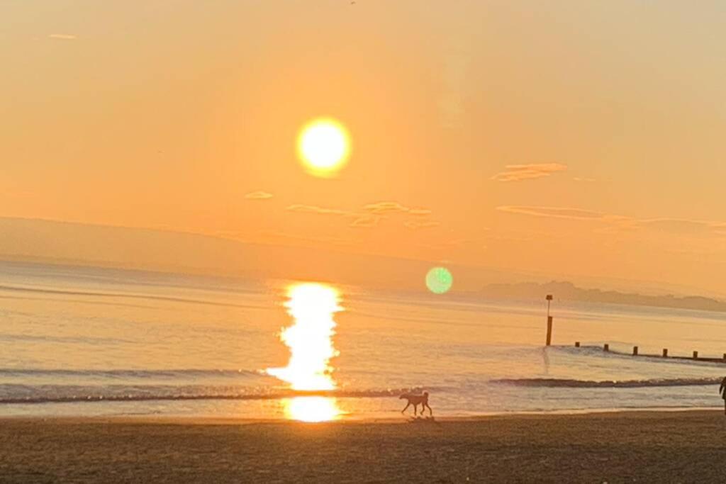 Bournemouth Nr Town Beach Train Coach Shops Lovely Entire Apartment Allows Quiet Good Dogs Buitenkant foto