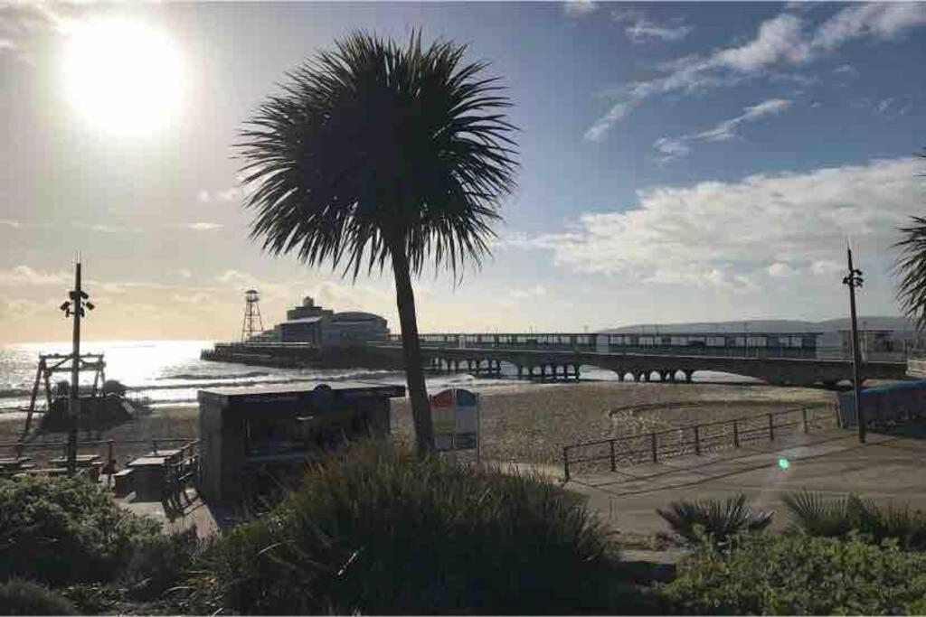 Bournemouth Nr Town Beach Train Coach Shops Lovely Entire Apartment Allows Quiet Good Dogs Buitenkant foto