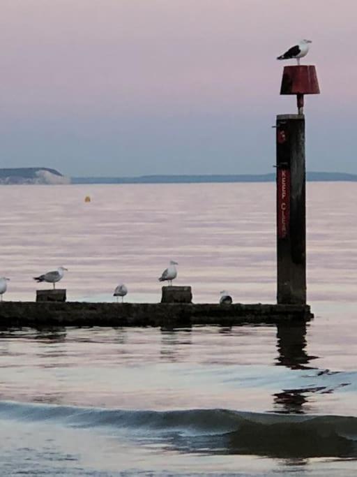 Bournemouth Nr Town Beach Train Coach Shops Lovely Entire Apartment Allows Quiet Good Dogs Buitenkant foto